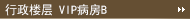 Executive Floor-B type-