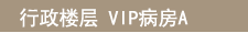 Executive Floor-A type-
