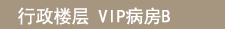 Executive Floor-B type-